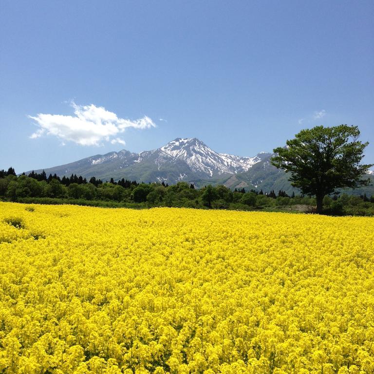 Hotel Alpen Blick 妙高 外观 照片